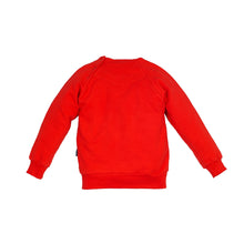 Pull Famille des Pingouins-Pull-Tale Me