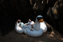 T-shirt Caniche Royal-T-Shirt manches courtes-Tale Me