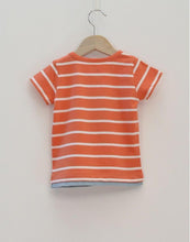 T-Shirt Dino Corail-T-Shirt manches courtes-Tale Me