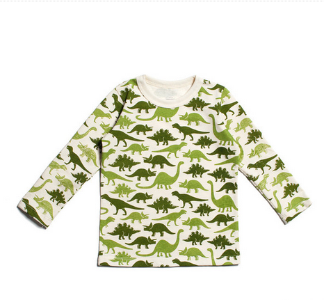 T-shirt Dinosaures Verts-T-shirt manches longues-Tale Me